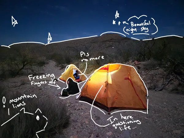 What If You Have Multiple Conflicting Interests?